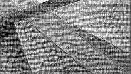 Dự báo của OPEC: Tín hiệu lạc quan hay bẫy cho thị trường crypto? Dự báo của OPEC: Tín hiệu lạc quan hay bẫy cho thị trường crypto?